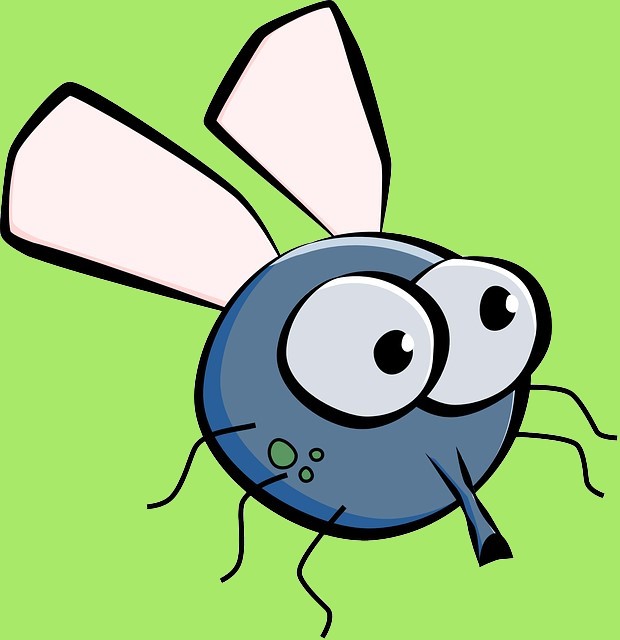 Insektenschutz für Fenster